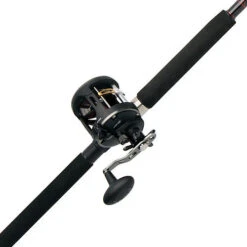 Penn Warfare 661 Rod And 20LW Reel Combo