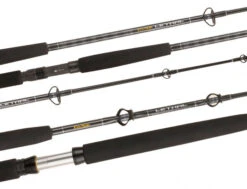 Fin-Nor Fin Nor Lethal 80 Reel And Rod Combo