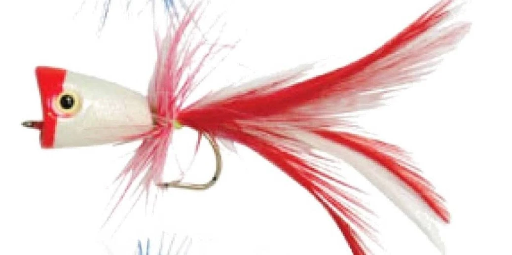 Gillies Surf Popper Value Pack - Image 2