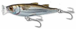 Live Target Mullet Popper Surface Popper Lure